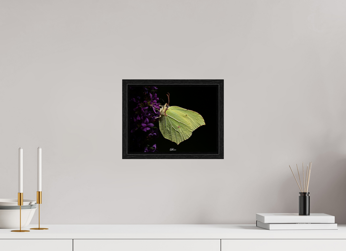 28 x 21 cm, Floater Frame Common brimstone