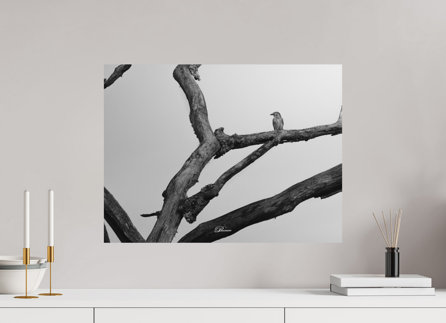 60 x 45 cm, Aluminum Lost in transience