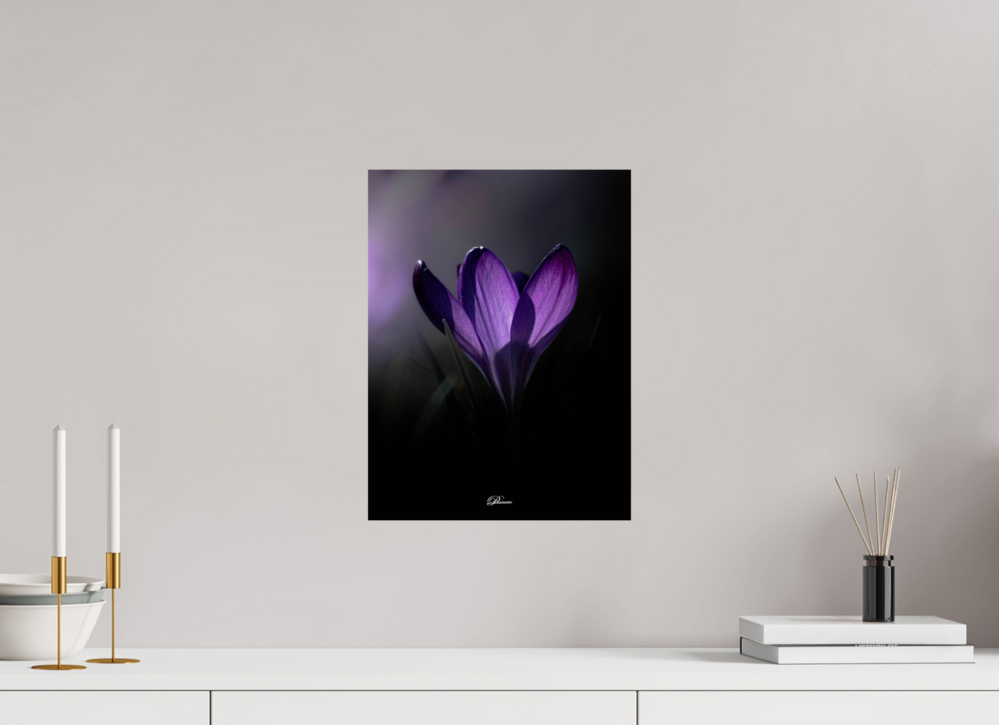 30 x 40 cm, Photo Print On Fuji Crystal DP II Purple crocus