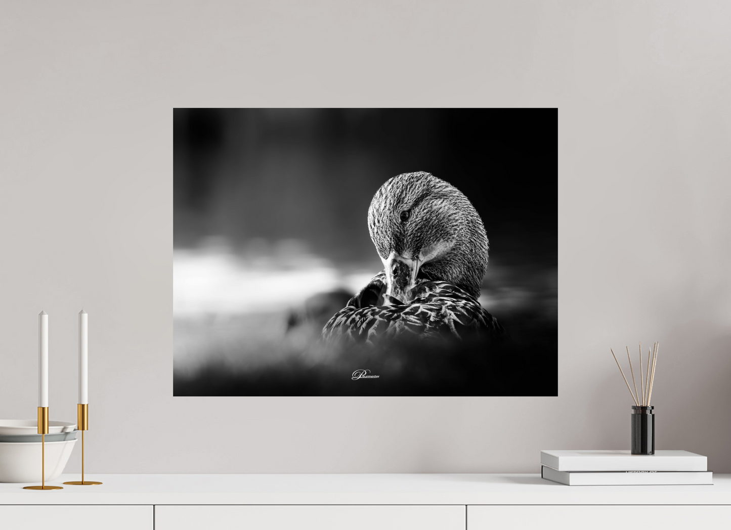 60 x 45 cm, Standard print Shining
