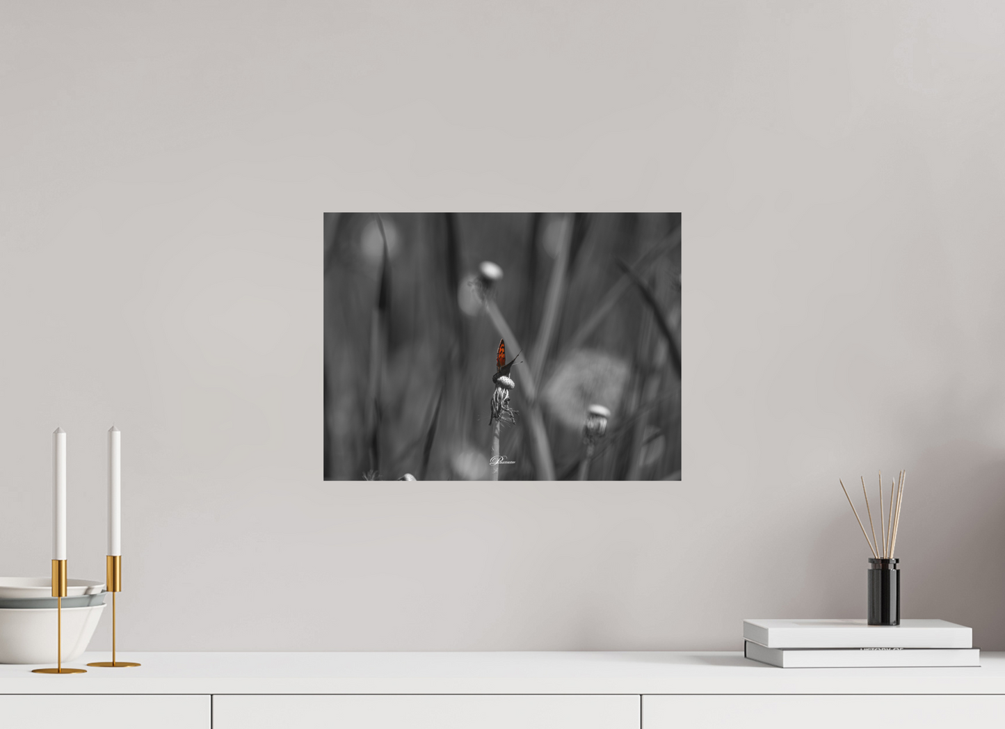 40 x 30 cm, Aluminum The beauty of the small