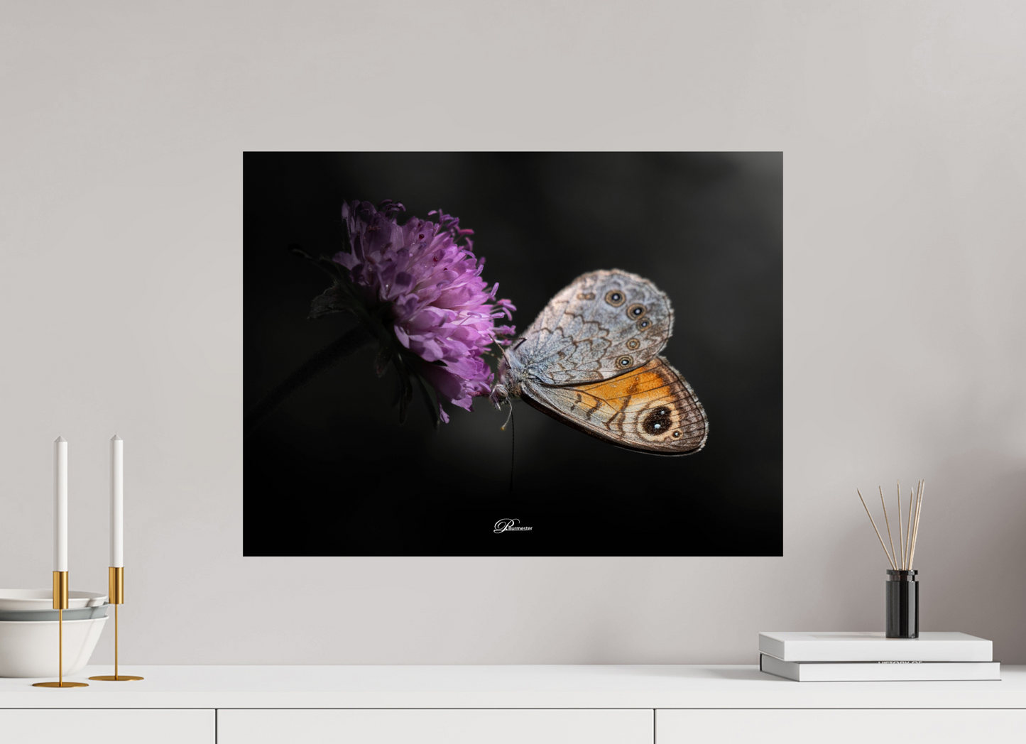 60 x 45 cm, Photo Print On Fuji Crystal DP II Wall Brown in the Gorges du Verdon