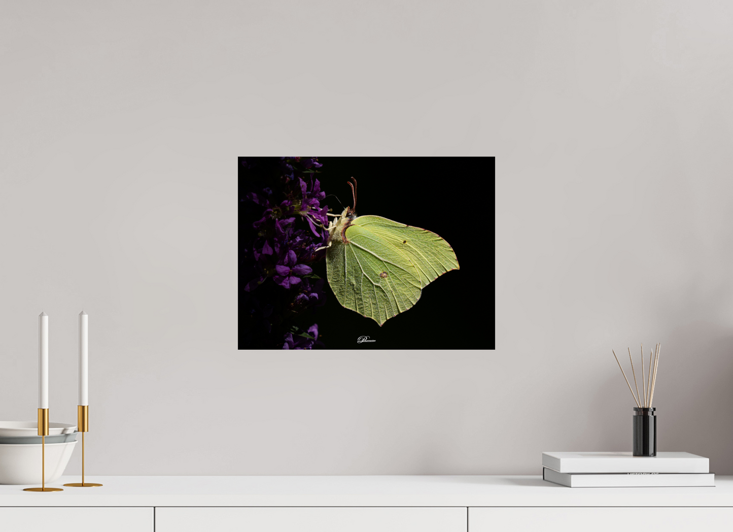 40 x 30 cm, Photo Print On Fuji Crystal DP II Common brimstone