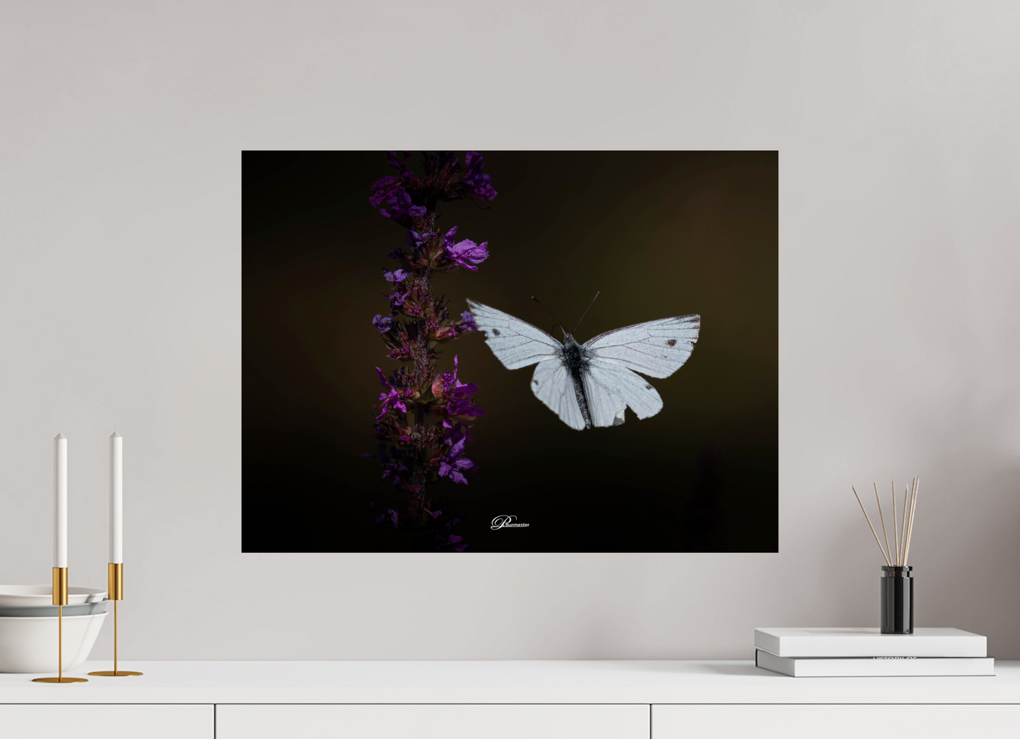 60 x 45 cm, Photo Print On Fuji Crystal DP II Green-veined white