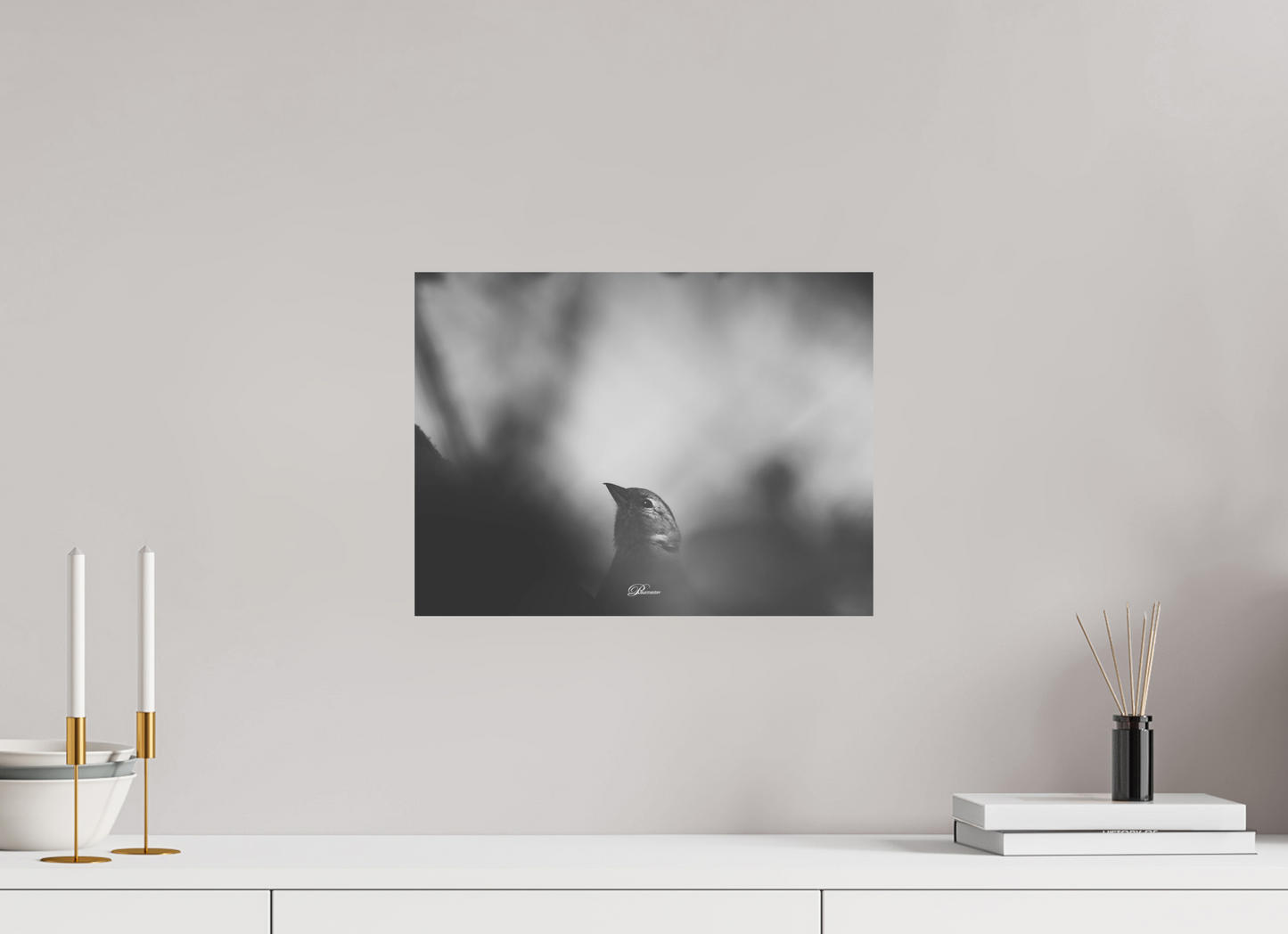 40 x 30 cm, Aluminum The Shadow`s Echo