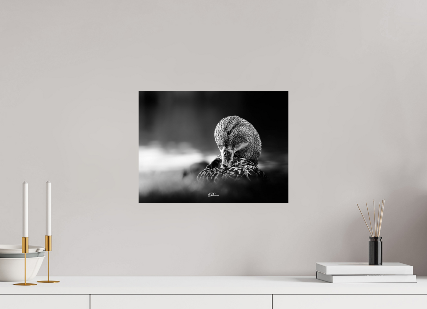 40 x 30 cm, Standard print Shining