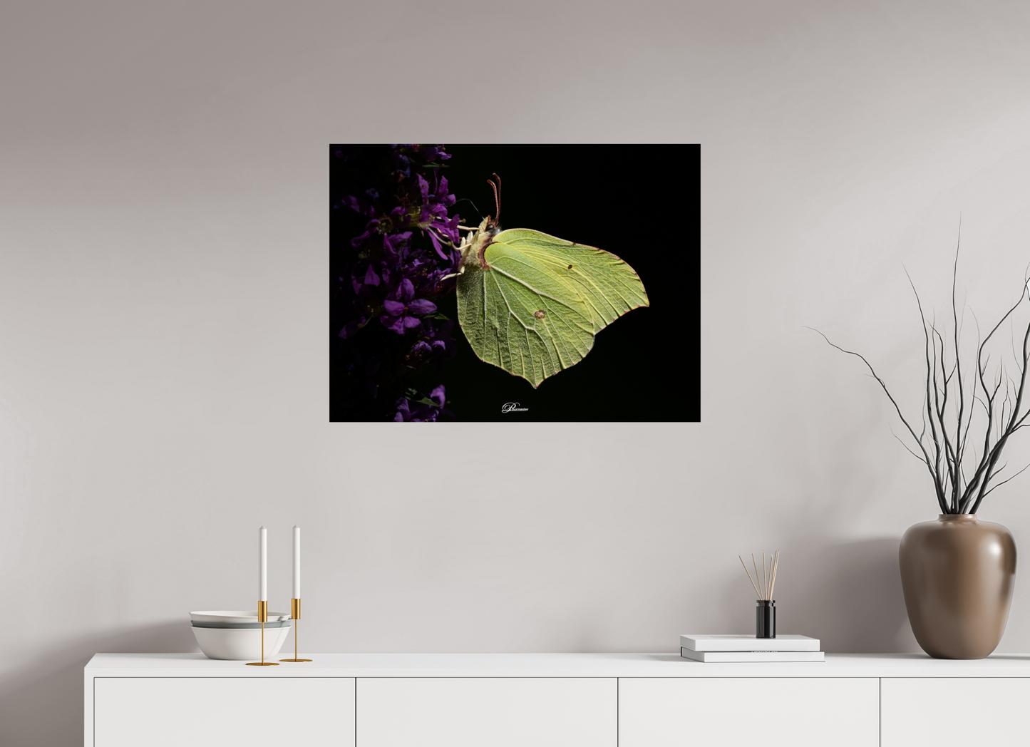 80 x 60 cm, Photo Print On Fuji Crystal DP II Common brimstone