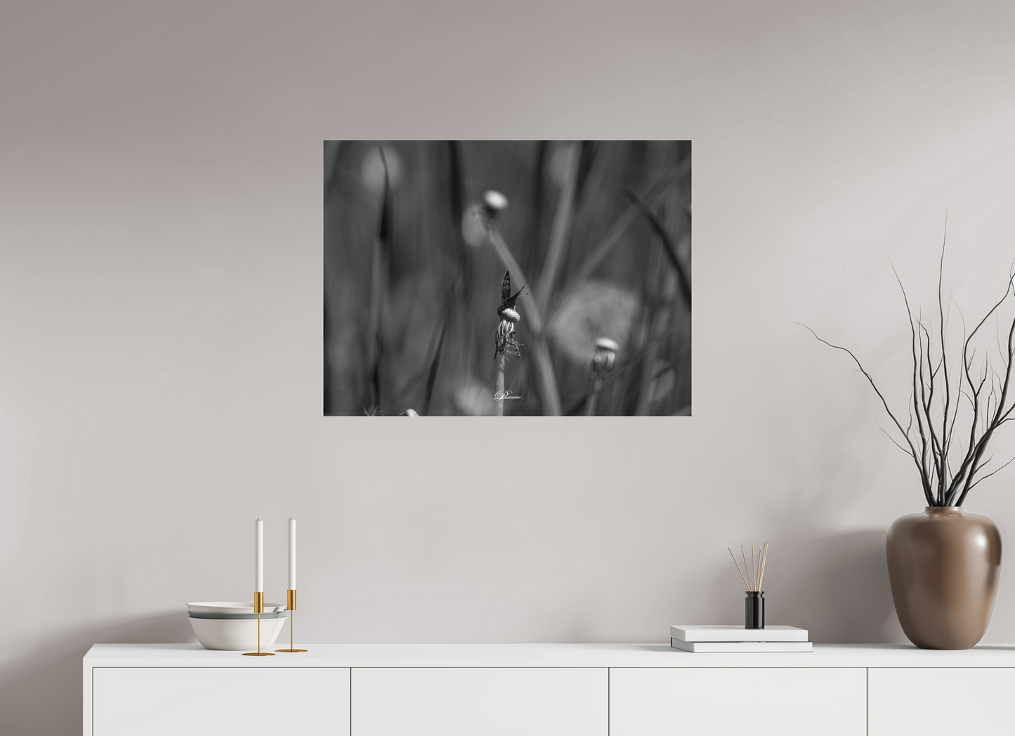 80 x 60 cm, Acrylíc glass BW The beauty of the small