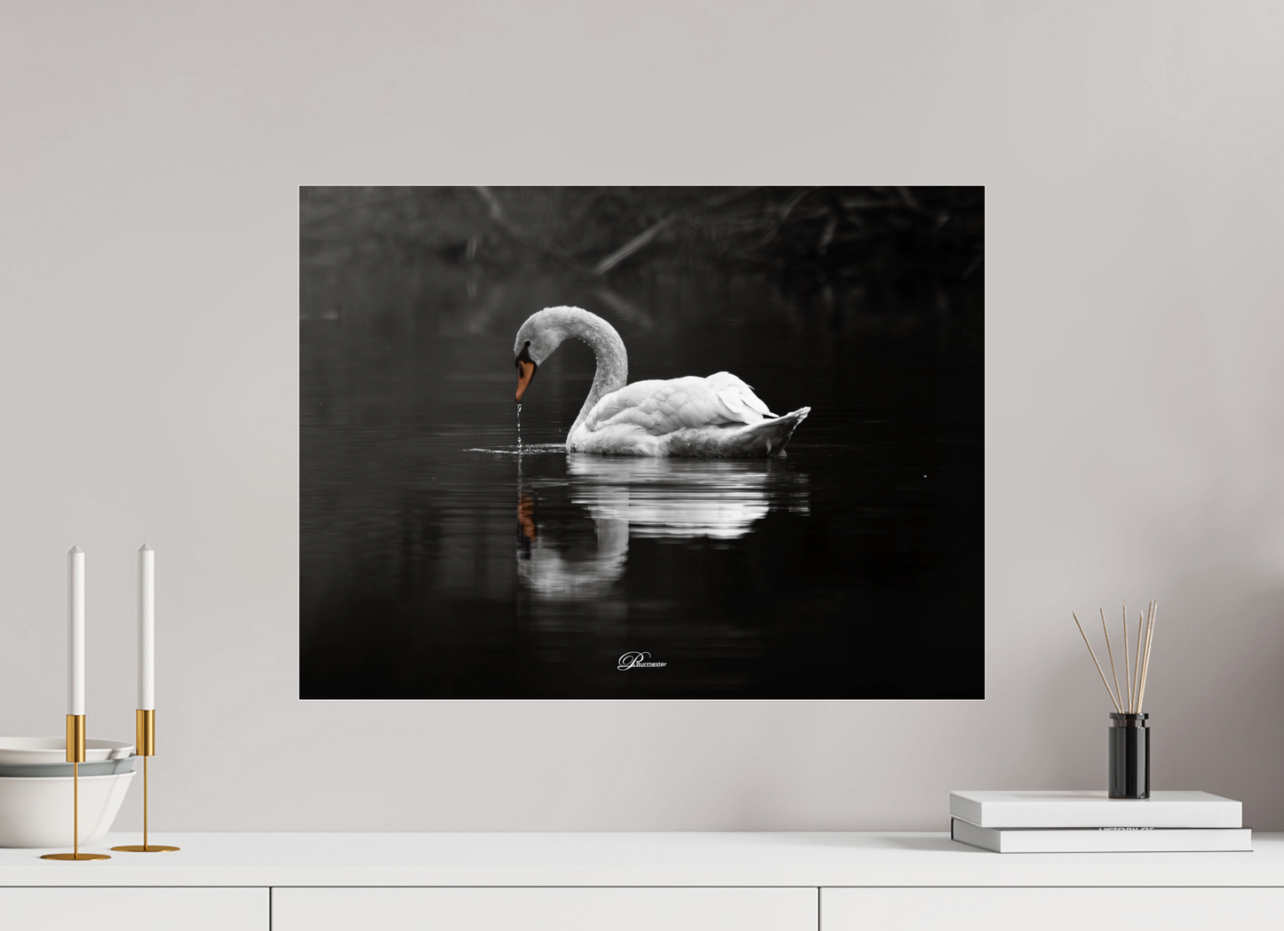 60 x 45 cm, Acryl Mute swan