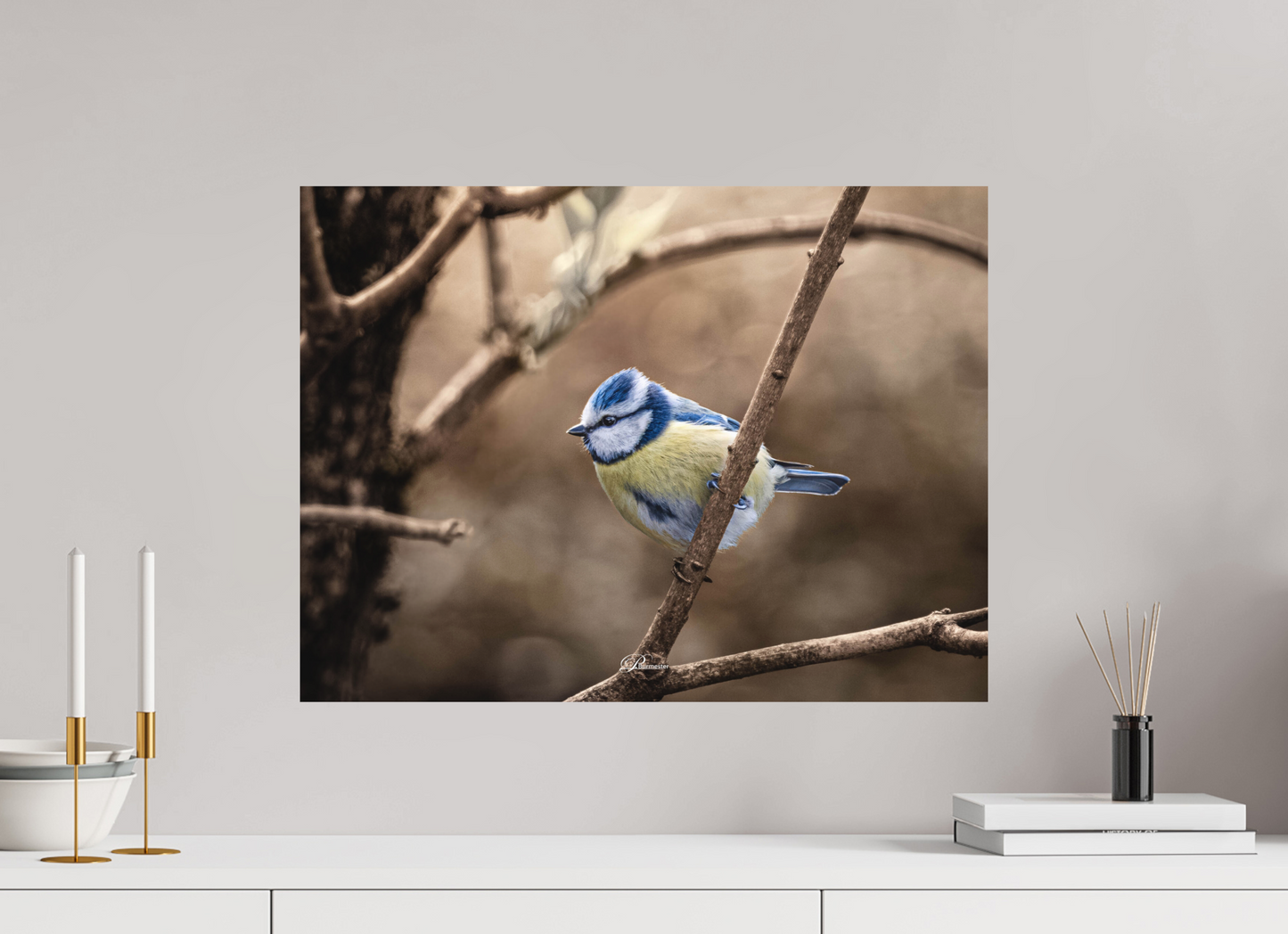 60 x 45 cm, Aluminum Blue tit