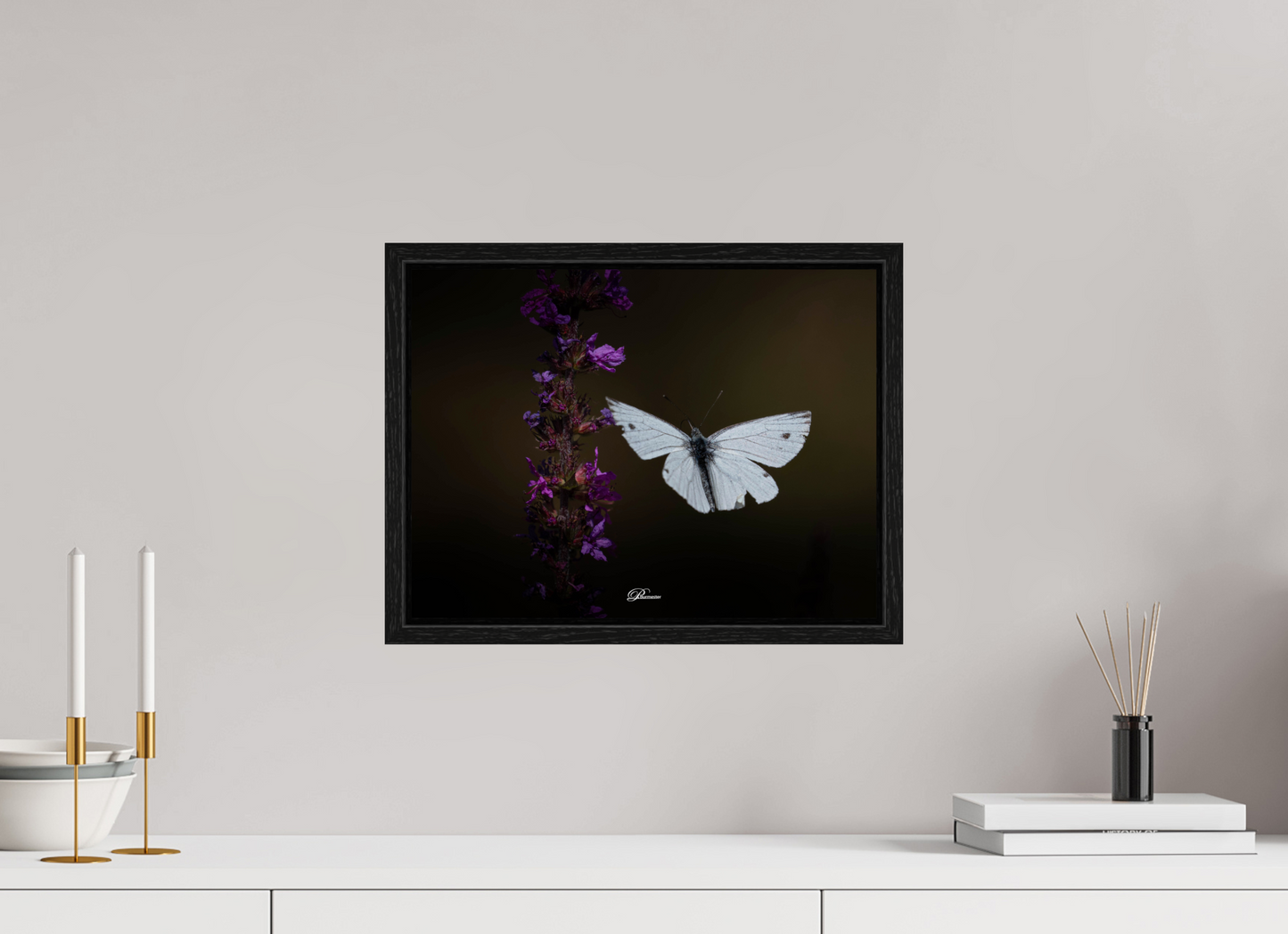 40 x 30 cm, Floater Frame Green-veined white