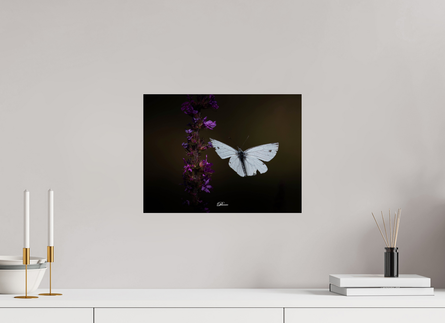 40 x 30 cm, Photo Print Under Acrylic Glass Green-veined white