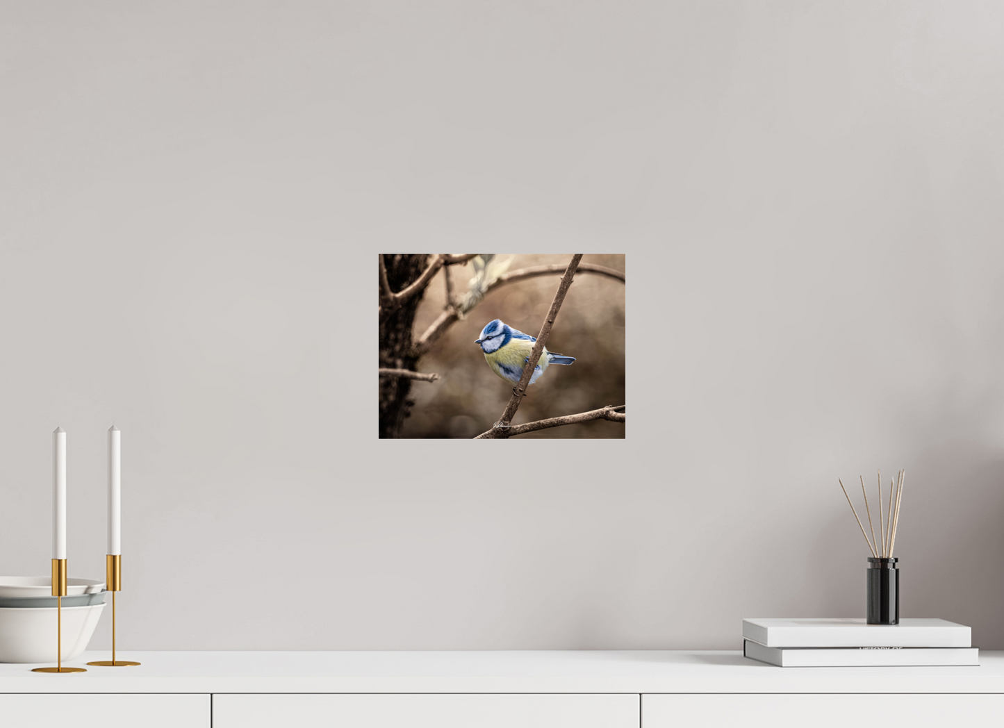 28 x 21 cm, Photo Print On Fuji Crystal DP II Blue tit