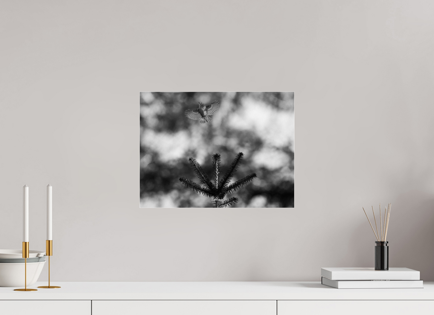 40 x 30 cm, Acrylíc glass BW Rising