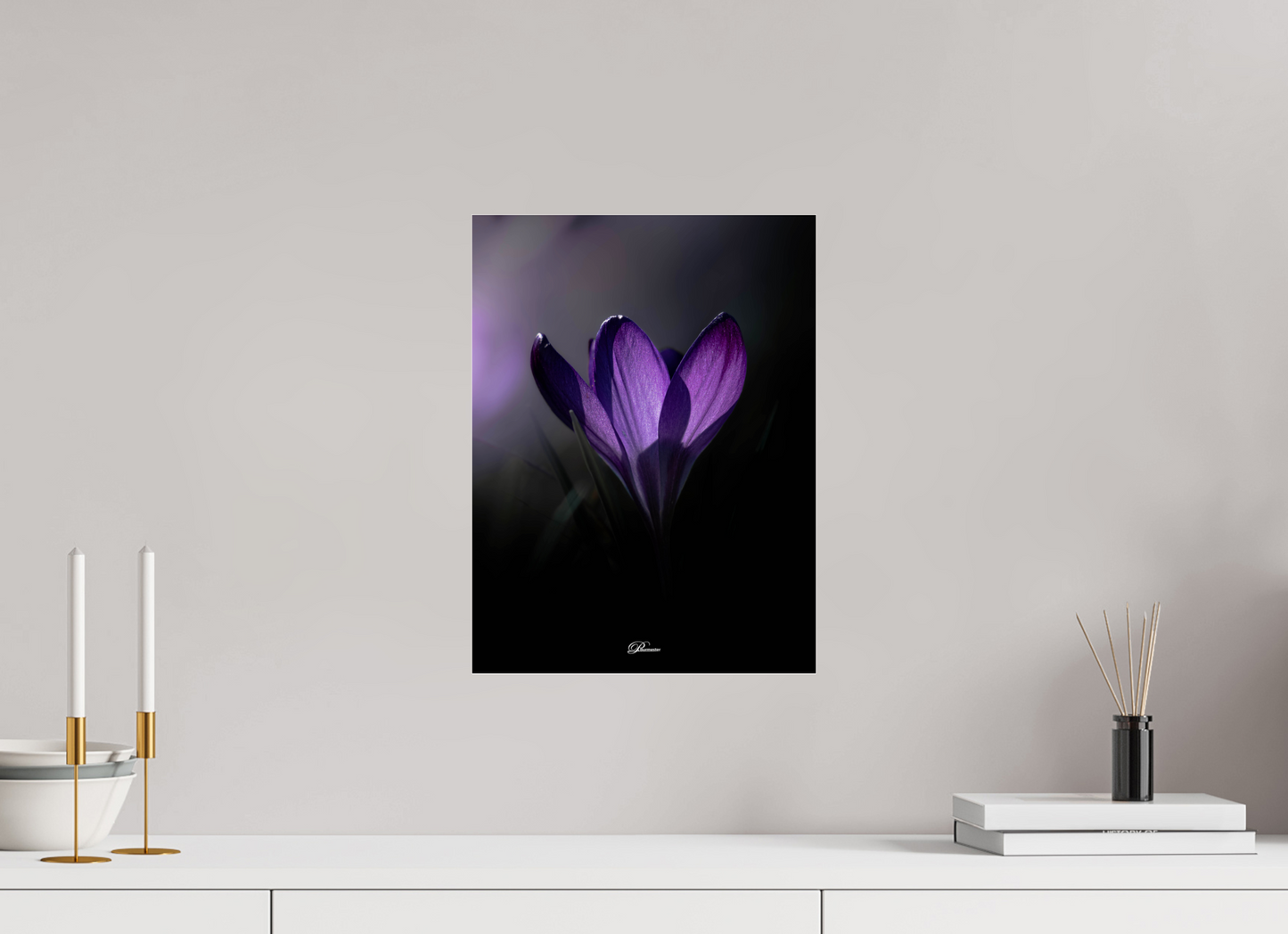 30 x 40 cm, Photo Print Under Acrylic Glass Purple crocus
