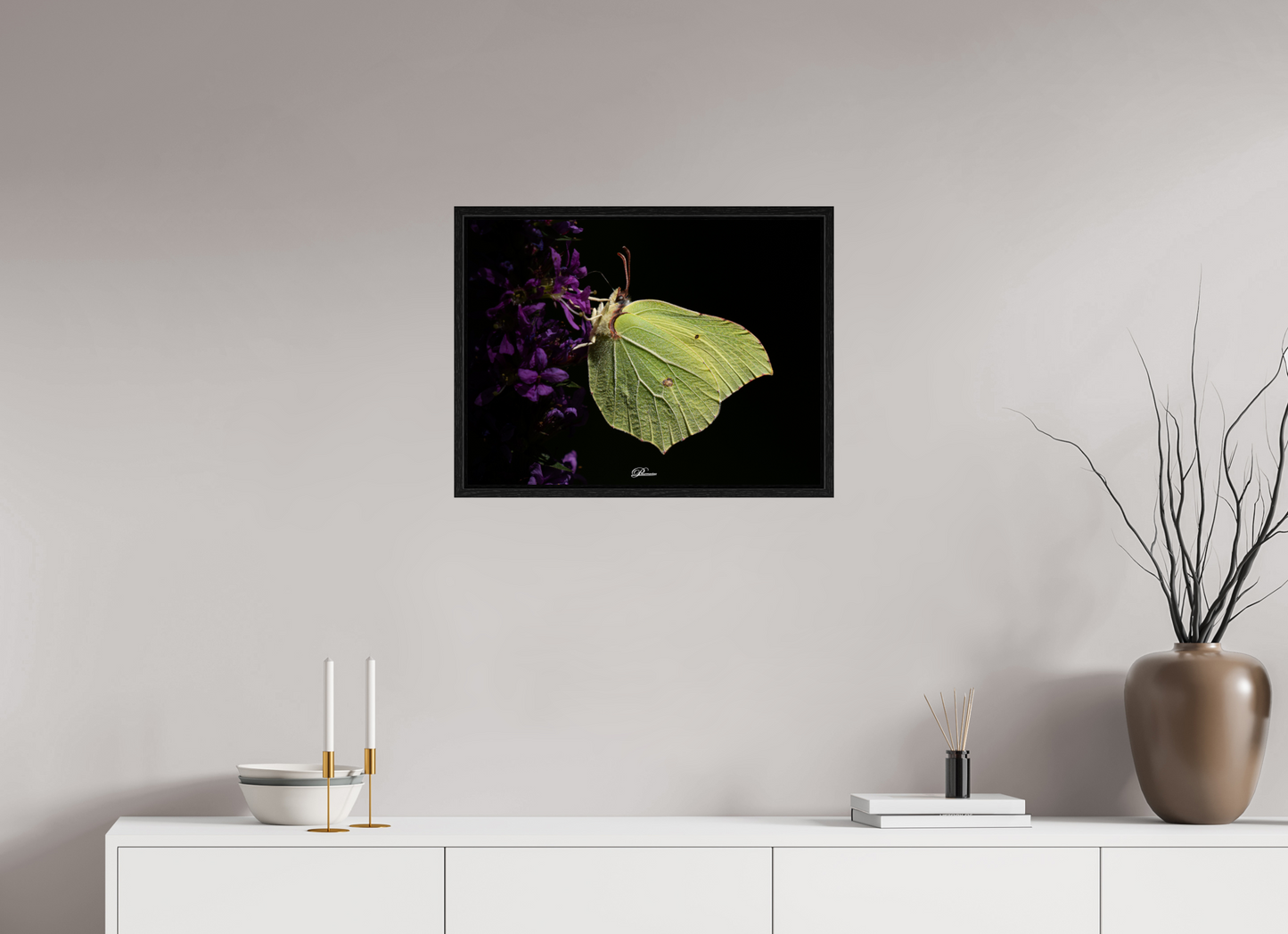 60 x 45 cm, Floater Frame Common brimstone