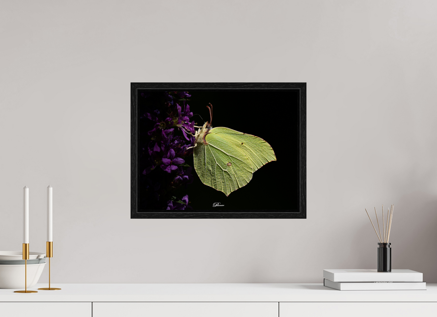 40 x 30 cm, Floater Frame Common brimstone