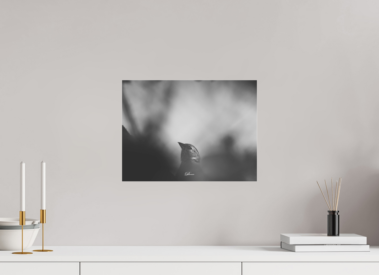 40 x 30 cm, Acrylíc glass BW The Shadow`s Echo